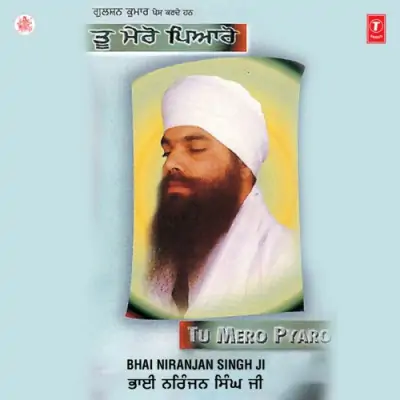 Visar Naahi Prabh Deen