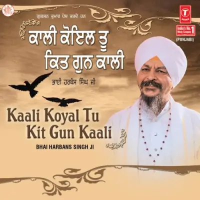 Kaali Koyal Tu Kit Gun Kaali