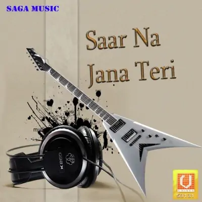 Satguru Mera