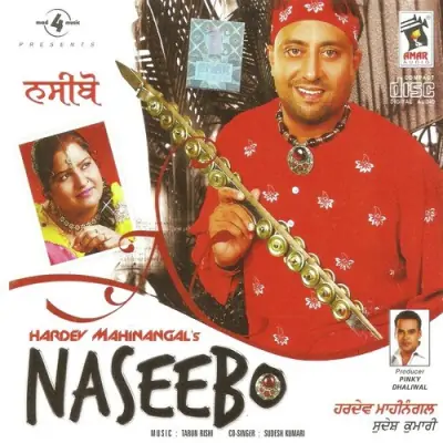 Naseebo