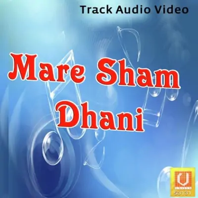 O Mere Shyam Dhani