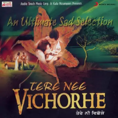 Tere Nee Vichorhe