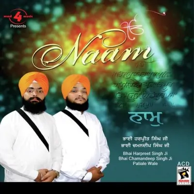 Sukh Naam Bin