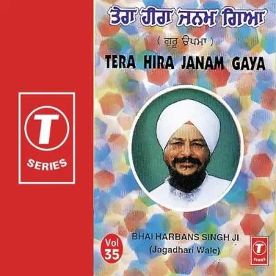 Tera Hira Janam GayaTu Na Kadi Naam Japya Meriye