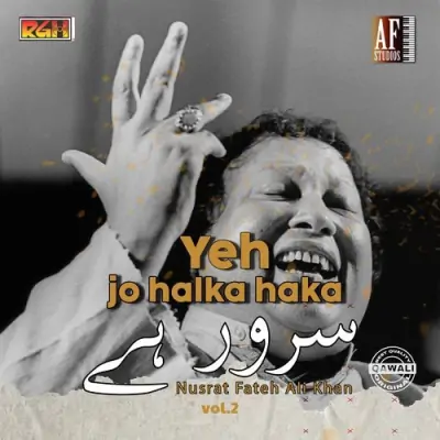 YE JO HALKA HALKA SUROOR HAI Vol 2 (1982) Mp3 Songs