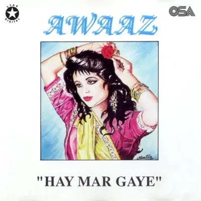 Haye Mar Gaye (1992) Mp3 Songs