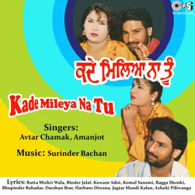 Kade Mileya Na Tu (1994) Mp3 Songs