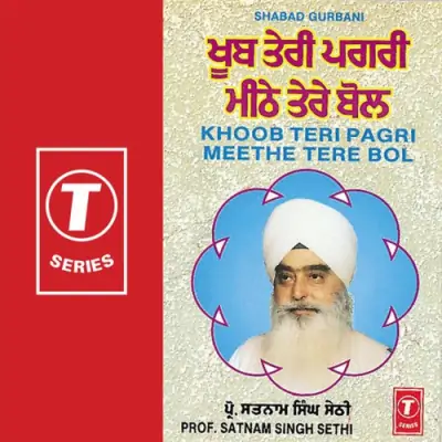 Khoob Teri Pagri Meethe Tere Bol (1994) Mp3 Songs