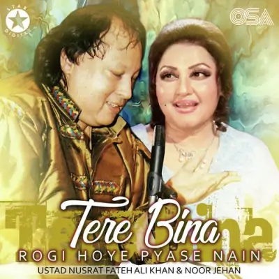 Tere Bina Rogi Hoye Pyase Nain (1995) Mp3 Songs