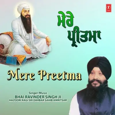 Mere Preetma Vol 4 (1995) Mp3 Songs