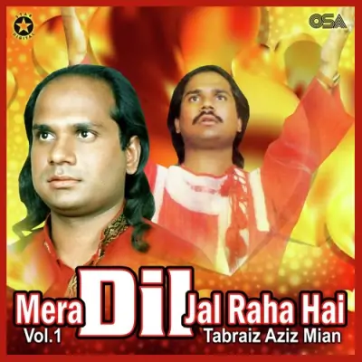 Mera Dil Jal Raha Hai Vol 1 (1995) Mp3 Songs