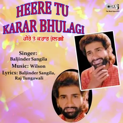 Heere Tu Karar Bhulagi (1995) Mp3 Songs