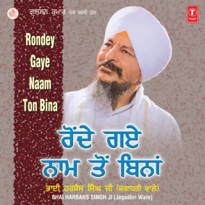 Rondey Gaye Naam Ton Bina (1996) Mp3 Songs