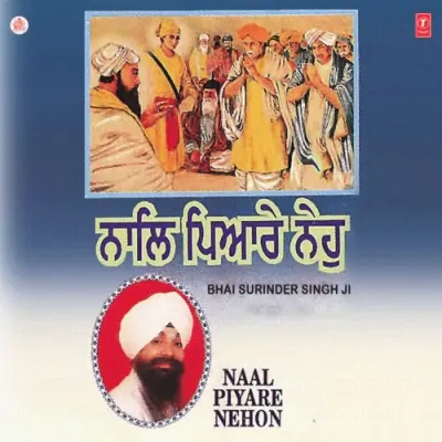 Naal Piyare Nehon Vol 11 (1996) Mp3 Songs