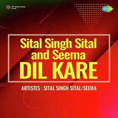 Sital Singh Sital Seema Dil Kare (1996) Mp3 Songs