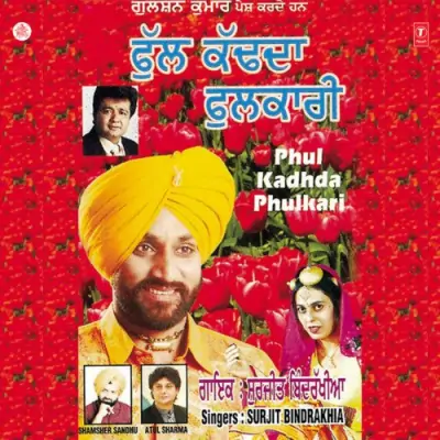 Phul Kadhda Phulkari (1998) Mp3 Songs