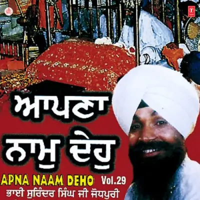 Apna Naam Deho Vol 29 (1998) Mp3 Songs