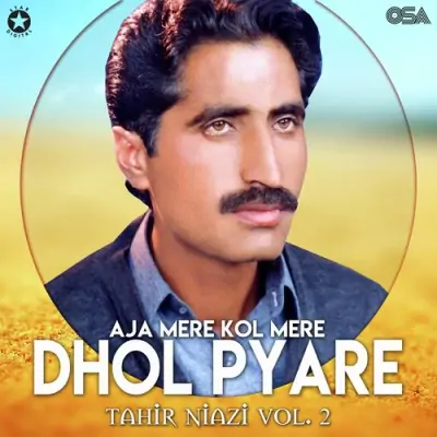 Aja Mere Kol Mere Dhol Pyare Vol 2 (1998) Mp3 Songs