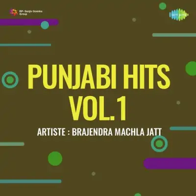 Punjabi Hits Vol 1 (1999) Mp3 Songs