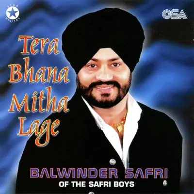 Tera Bhana Mitha Lage (2000) Mp3 Songs