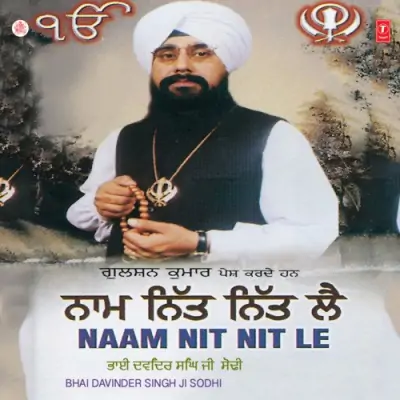 Naam Nit Nit Le Vol 35 (2000) Mp3 Songs