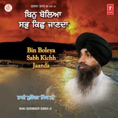 Bin Boleya Sabh Kichh Jaanda (2001) Mp3 Songs