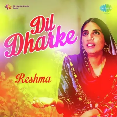 Dil Dharke Reshma (2002) Mp3 Songs