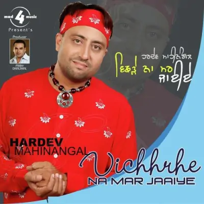 Vichhrhe Naa Mar Jaaiye (2003) Mp3 Songs