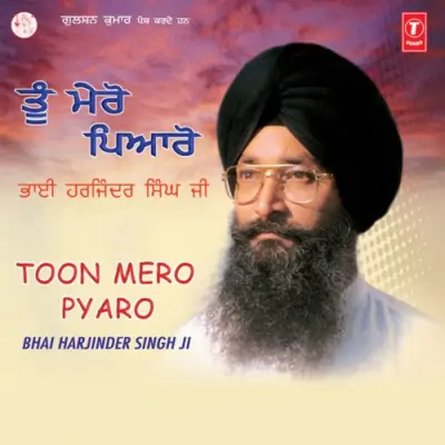 Toon Mero Pyaro Vol69 (2004) Mp3 Songs