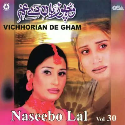 Vichhorian De Gham Vol 30 (2004) Mp3 Songs