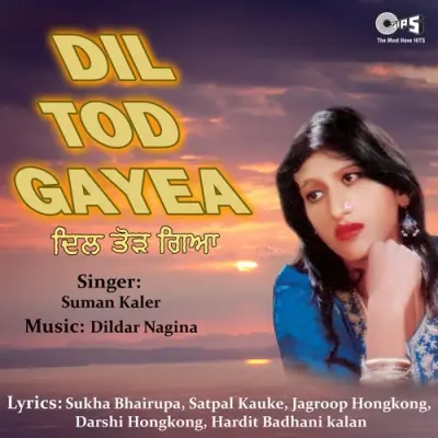 Dil Tod Gayea (2004) Mp3 Songs