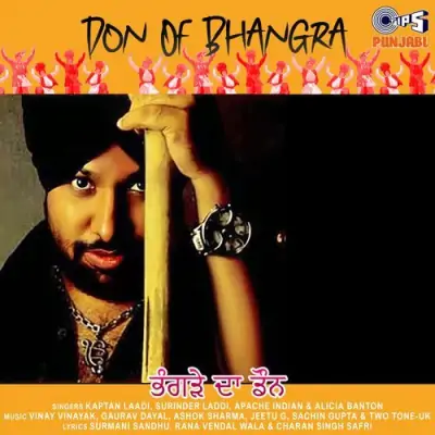 Don Of Bhangra (2005) Mp3 Songs