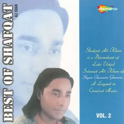 Best Of Shafqat Ali Khan Vol 2 (2005) Mp3 Songs