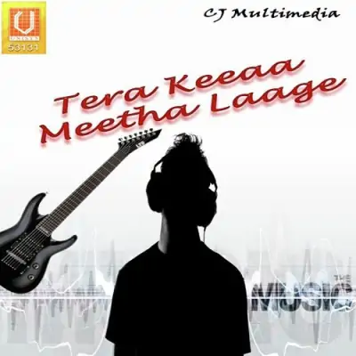 Tera Keeaa Meetha Laage (2008) Mp3 Songs