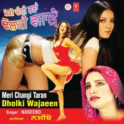 Meri Changi Taran Dholki Wajaeen (2008) Mp3 Songs