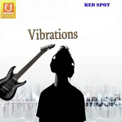 Vibrations (2009) Mp3 Songs