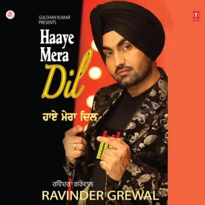 Haaye Mera Dil (2009) Mp3 Songs