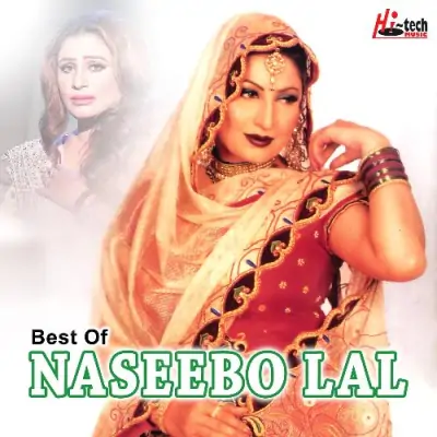 Best Of Naseebo Lal (2010) Mp3 Songs