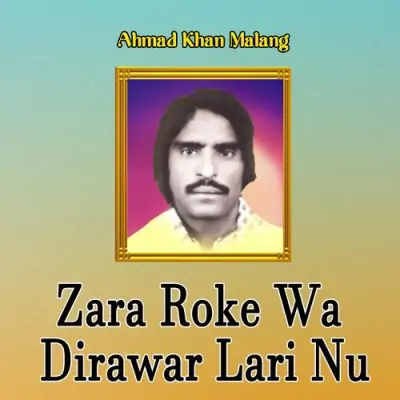 Zara Roke Wa Dirawar Lari Nu (2010) Mp3 Songs