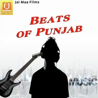 Beats Of Punjab (2011) Mp3 Songs