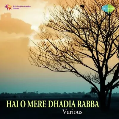 Hai O Mere Dhadia Rabba Various (2011) Mp3 Songs