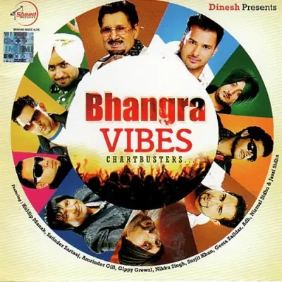 Bhangra Vibes (2012) Mp3 Songs