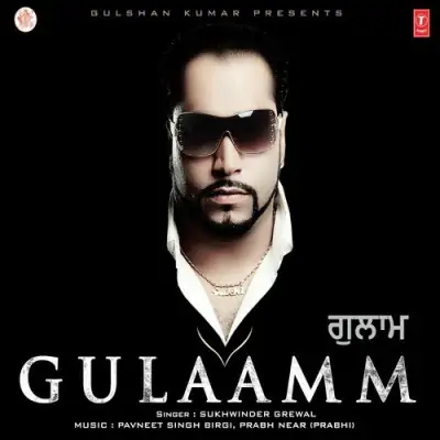 Gulaamm (2012) Mp3 Songs