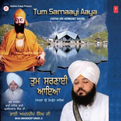 Tum Sarnaai Aaya (2012) Mp3 Songs