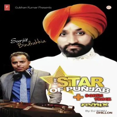 The Star Of Punjab Bonus Track (2013) Mp3 Songs