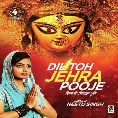 Dil Ton Jehra Pooje (2013) Mp3 Songs