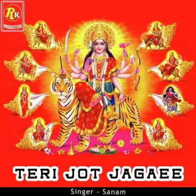 Teri Jot Jagaee (2013) Mp3 Songs