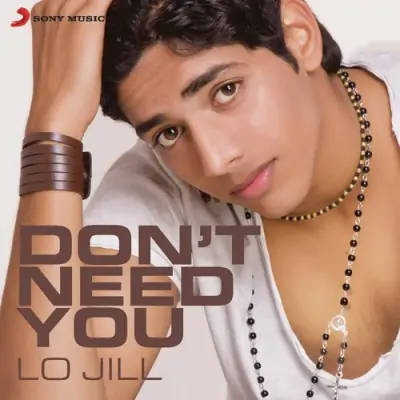 Dont Need You (2013) Mp3 Songs