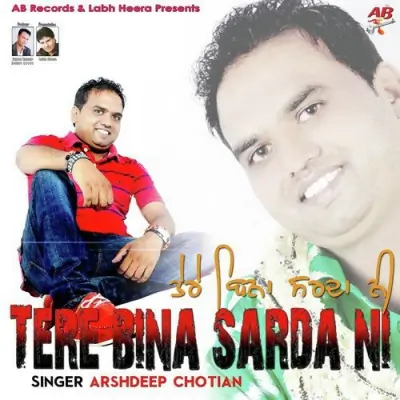 Tere Bina Sarda Ni (2013) Mp3 Songs