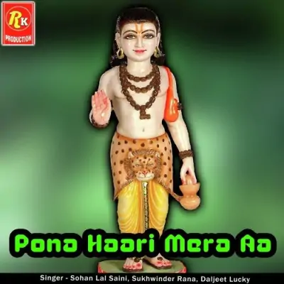 Pona Haari Mera Aa (2013) Mp3 Songs